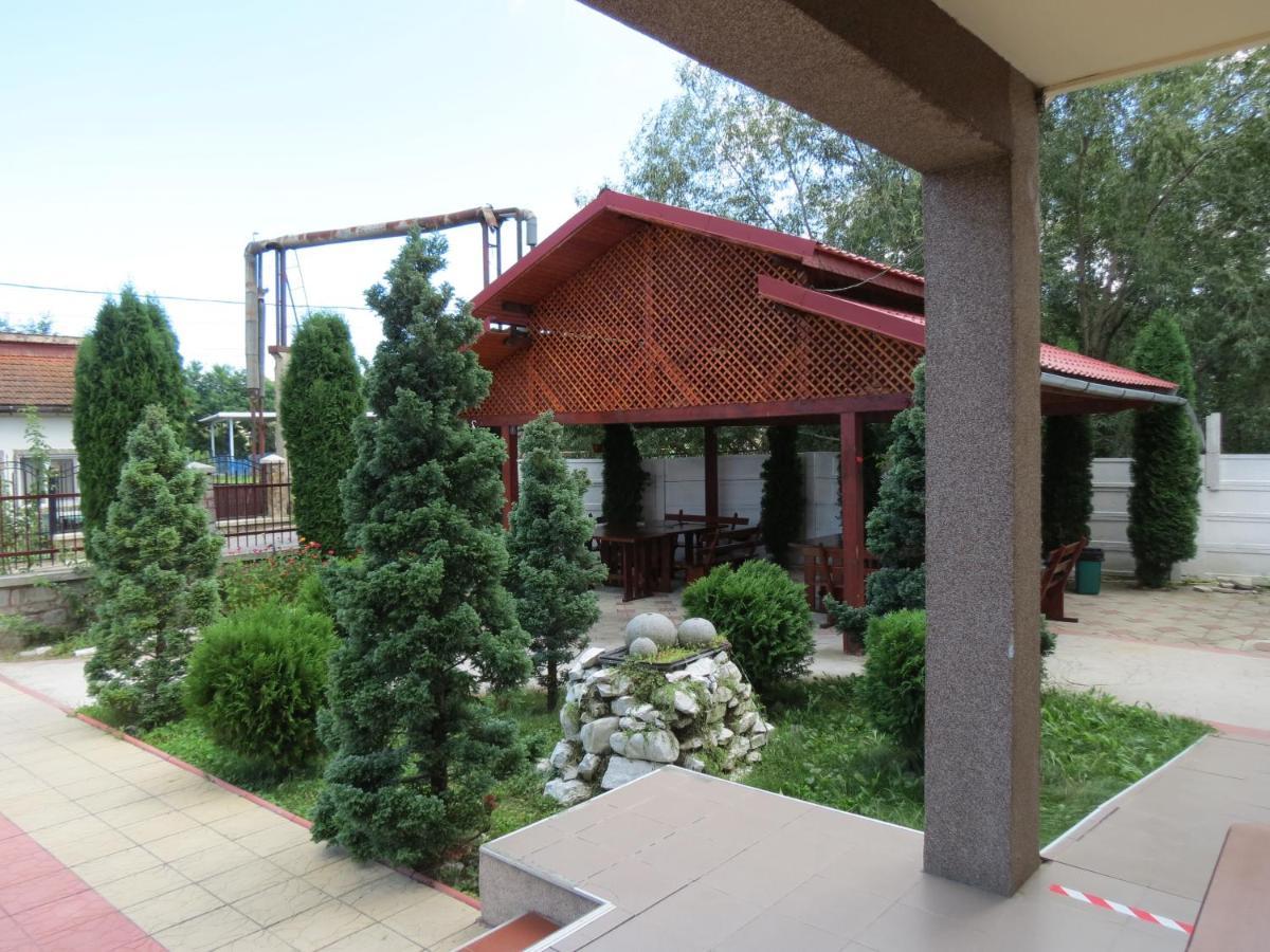 Pensiunea Cetina Brad  外观 照片